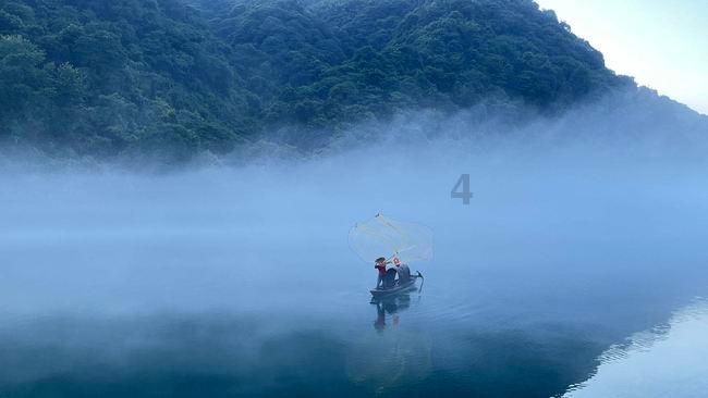 农村老人常说：“鸡不过六载，狗不过八年”啥意思？有道理吗？