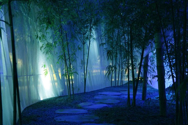发现知识星球平台-21÷x=18解方程?带你进入无限学习世界