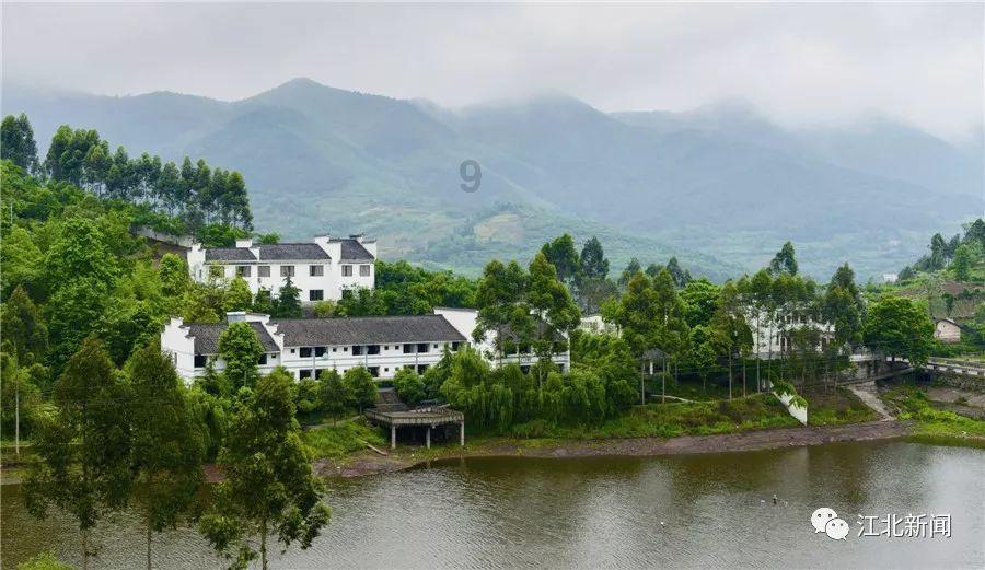 冬天,外行人吃青鱼草鱼,内行人专吃它,和白菜炖一锅,肉嫩味特鲜,别不懂吃