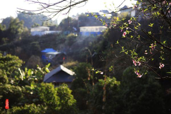 寂静岭5：归乡