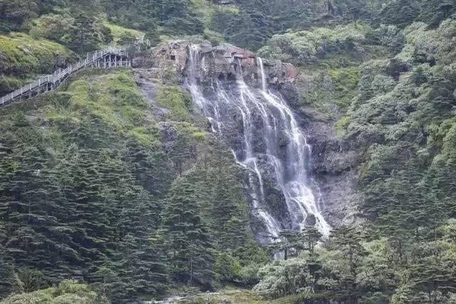 油饼面怎么和面又软又酥游戏画面