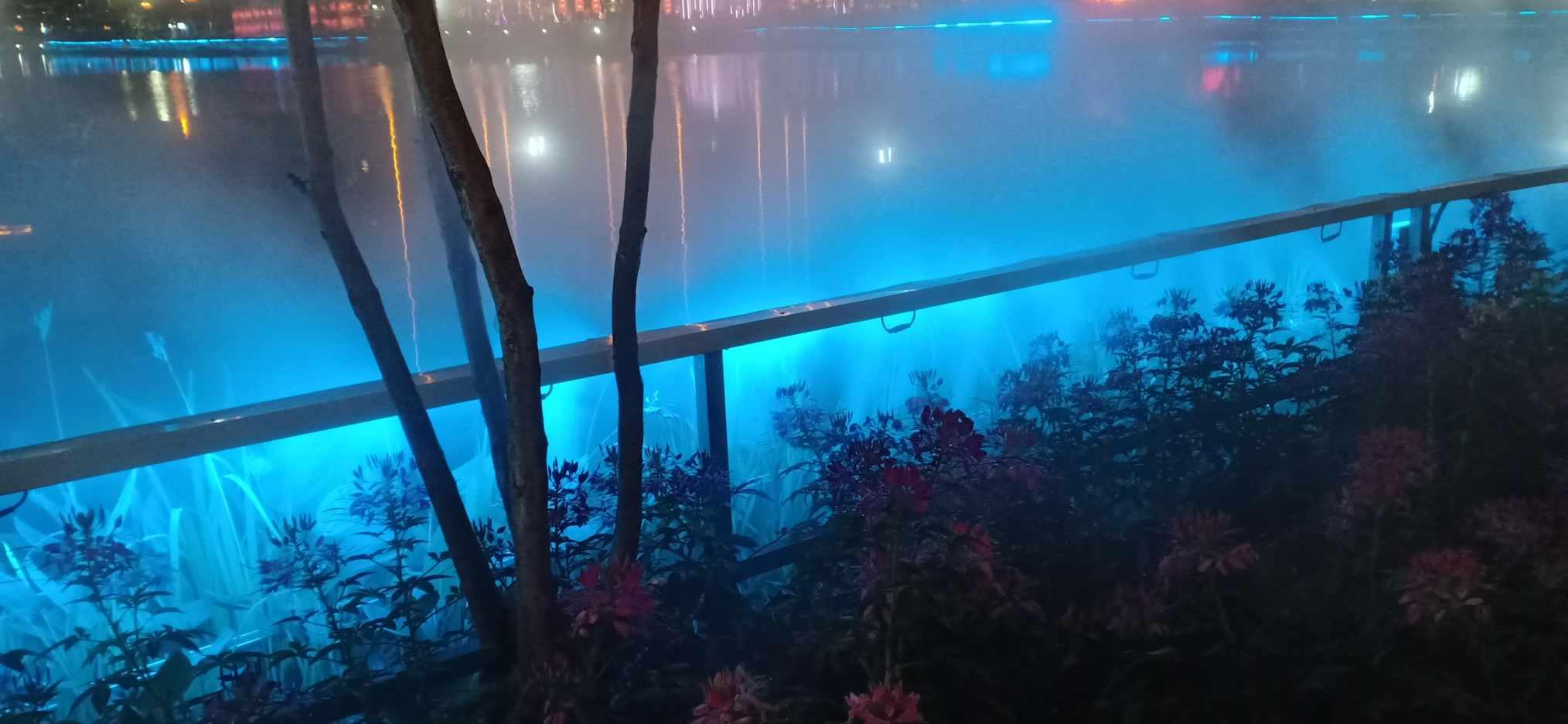 边境之旅