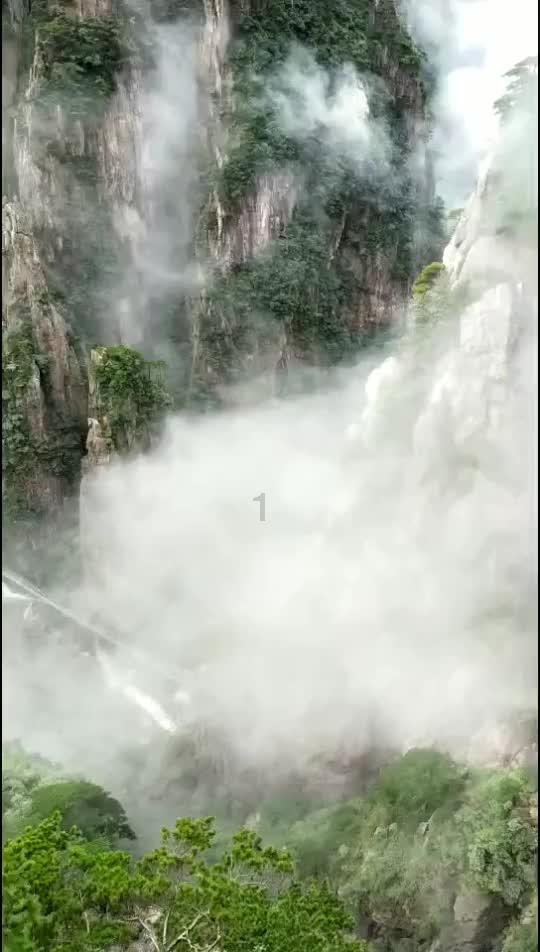 赛马大亨8